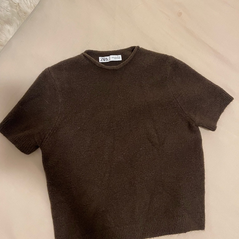 Zara women’s Brown Sweater